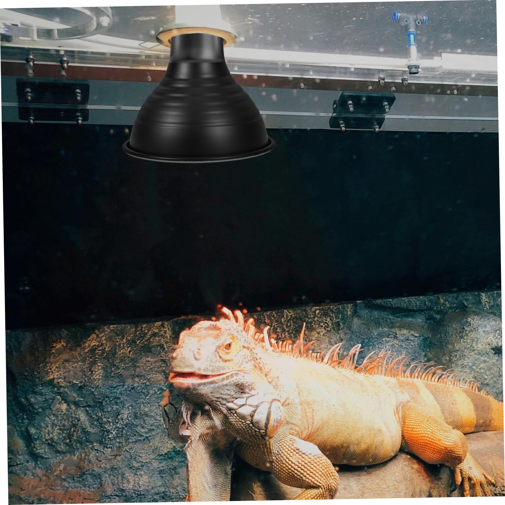 5pezzi Lampada Riscaldante Per Rettili Con Paralume Copertura Riflettente Per Terrari Design Efficiente e Facile Manutenzione Per Tartarughe e Lucertole