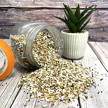 500g Pigeon Condition Seed Mixed Bird Food SJJ
