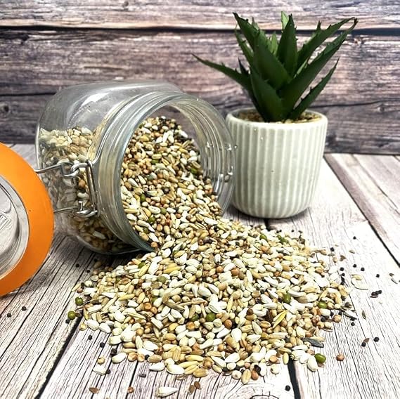 500g Pigeon Condition Seed Mixed Bird Food SJJ