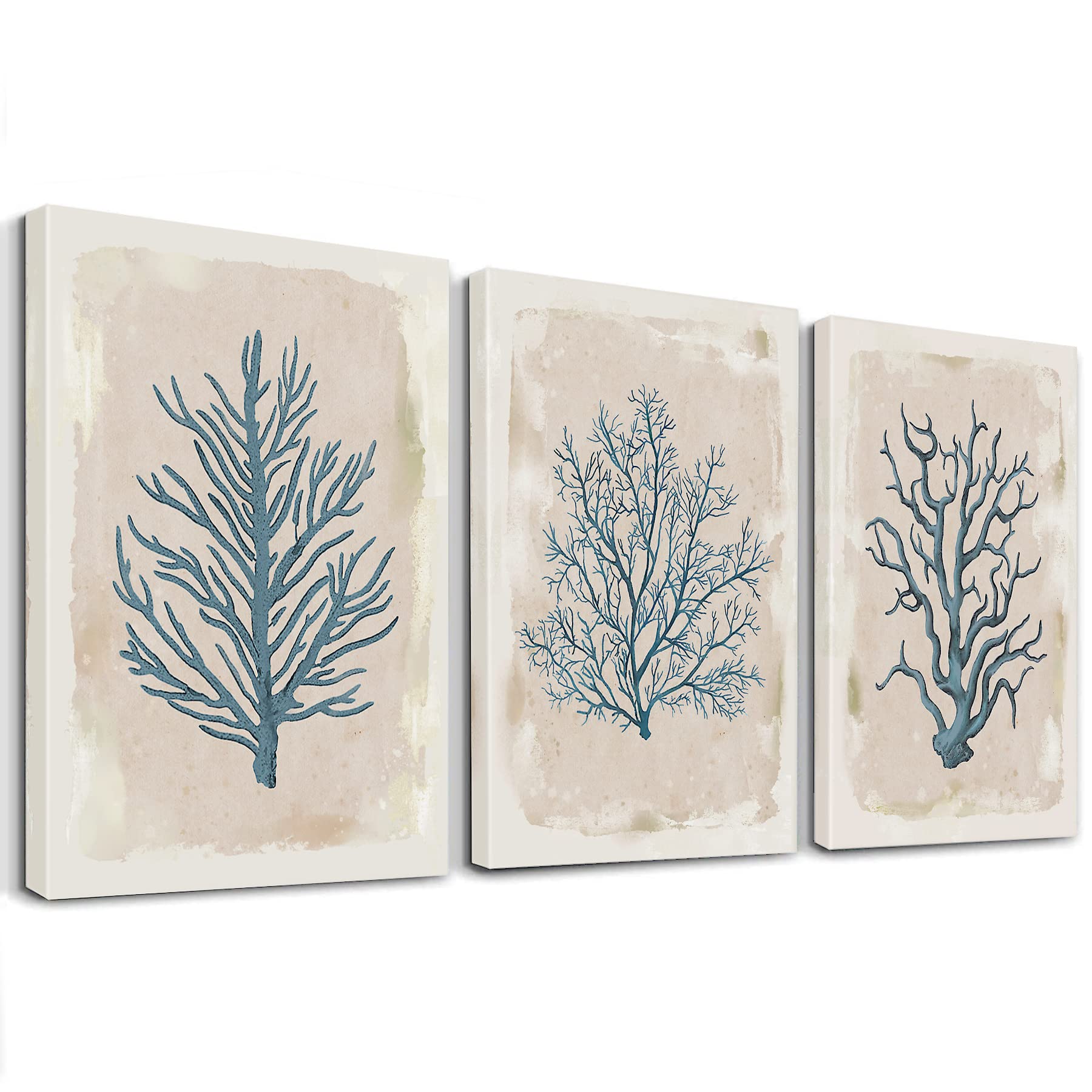 Zessonic Coastal Wall Art Set For Bathroom - Dingo Blue Coral On Beige Background Artwork Print For Nautical, Ocean Theme Wall Decor, 12" x 16" x 3