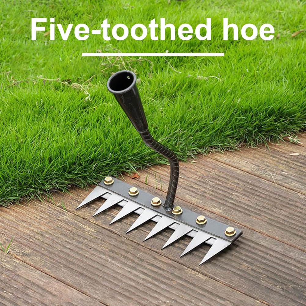 Generic Gardenia Iron Weeding Rake, Weed Puller Tool for Lawn Farm, Remover Weeder Rake Dethatcher Gift for Gardening Lover (8 Teeth) (Style 4)