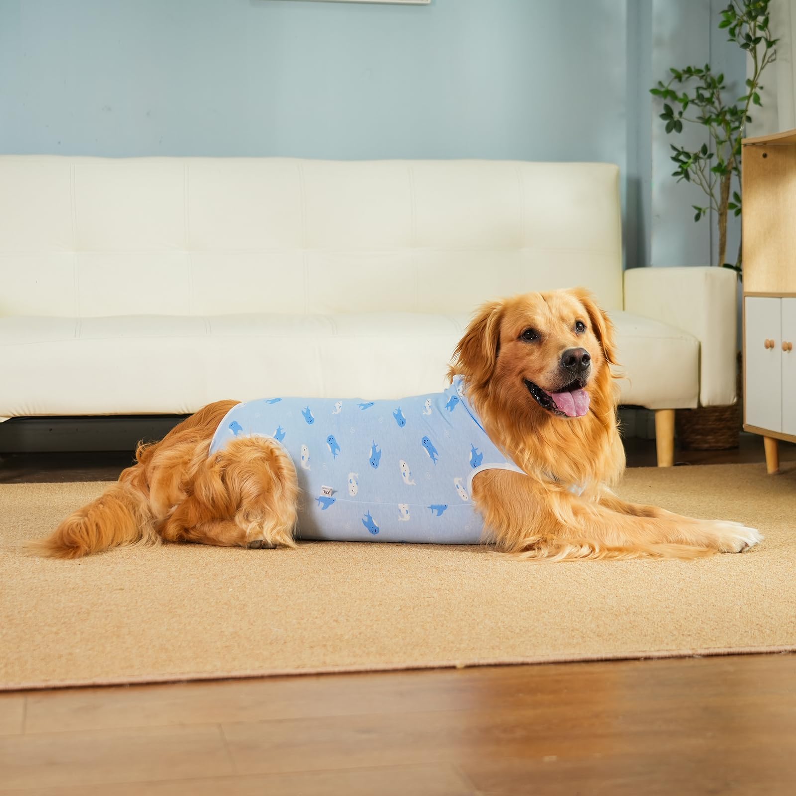 Body Post Operatorio Cane Femmina Tutina Post Operatoria Cane Body Chirurgico per Cani Maschio Tuta Recupero per Cani di Ferite Addominali, Anti-Leccamento (Blu-balena, XXL)