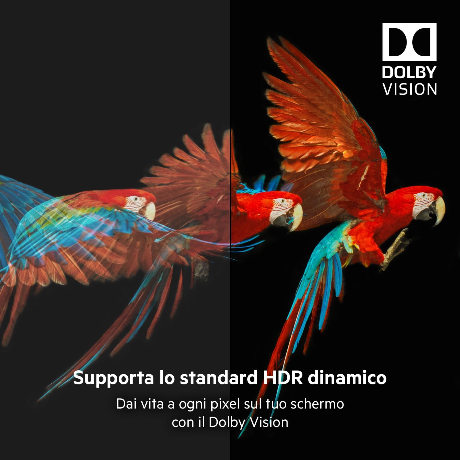 Belkin Cavo HDMI 2.1 Premium ad Alta Velocità Ultra, 4K/Dolby Vision HDR, Visione Ottimale per Apple TV, 2 m, Nero