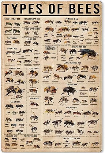 Miniatura 9 de Letrero de metal retro con texto en inglés "Garage Dorm-Amazingly Enough I Dont Give A Shit", divertido letrero para el hogar, cueva, garaje, bar,