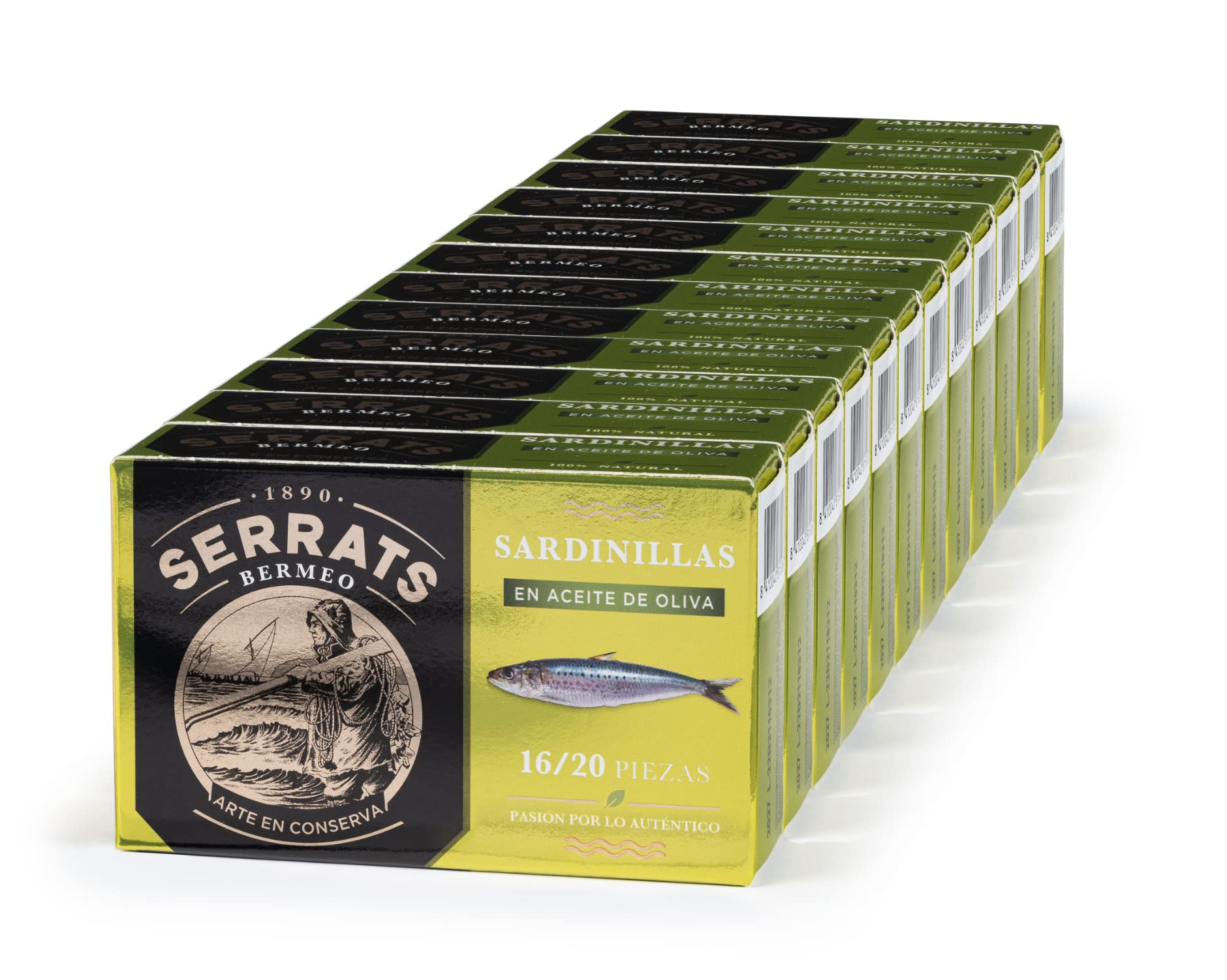 CONSERVAS SERRATS - Sardinen Txikis in Nativem Extra Olivenöl - 12 Dosen x 115g (Gesamt: 1380g) - Handwerkliche Herstellung seit 1890 - Glutenfrei - Reich an Omega 3