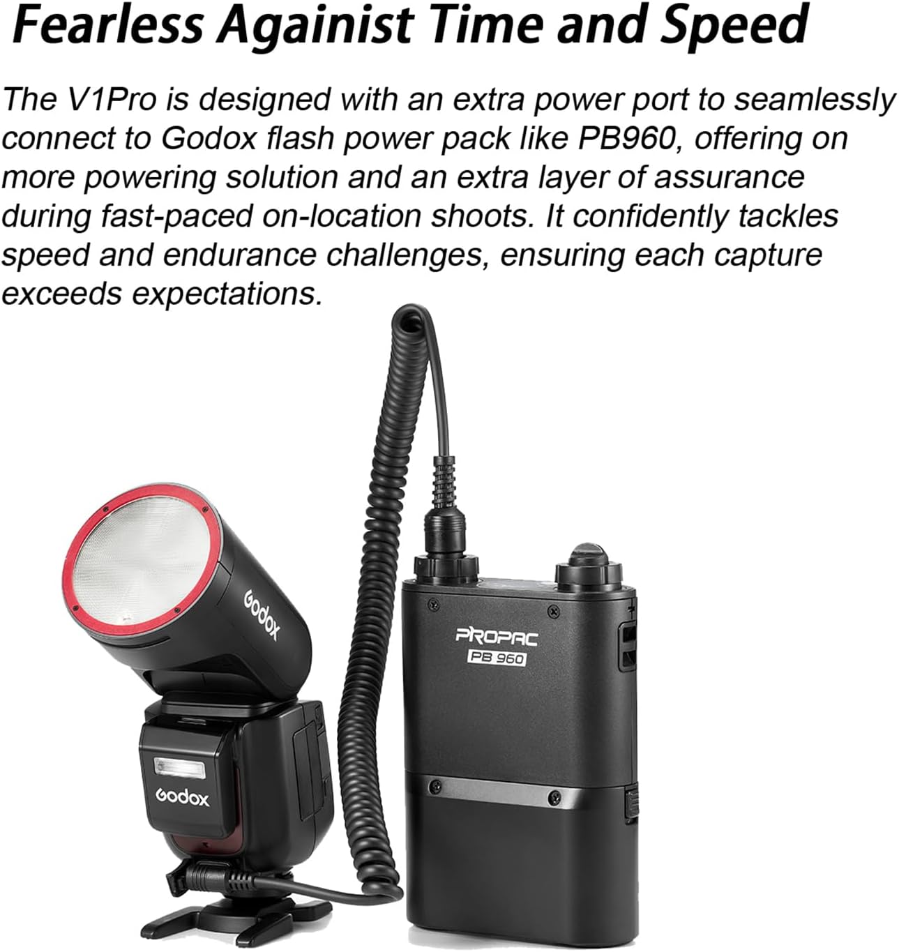 Godox V1 Pro Round Head TTL Camera Flash Speedlight, Support 76Ws, HSS 1/8000s, Built-in Lithium Battery, LED Modeling Lamp, Detachable SUB Flash for Nikon Camera(V1Pro-N)