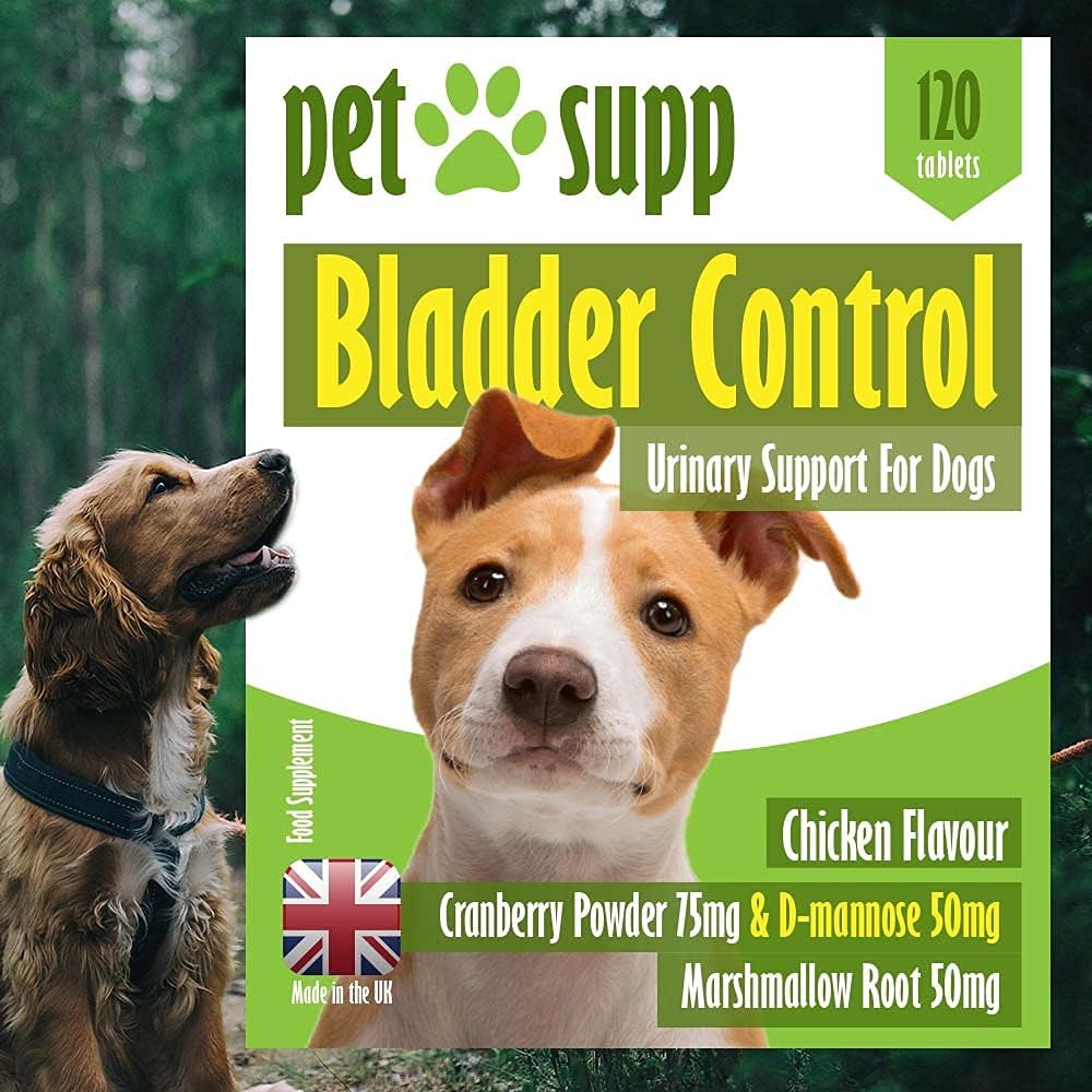 Why Is My Dog Losing Bladder Control
