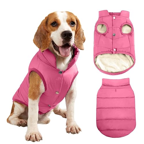 PETCUTE Chaqueta para Perros,Chaqueta de Perro con Forro Polar de 2 Capas,A Prueba de Viento Ropa para Perros…