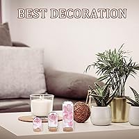 Vista 5 de CRASPIRE 25 piezas de cúpula de cristal de 3 tamaños, mini tarro de campana con base de corcho, cubierta de soporte de corcho, frasco decorativo