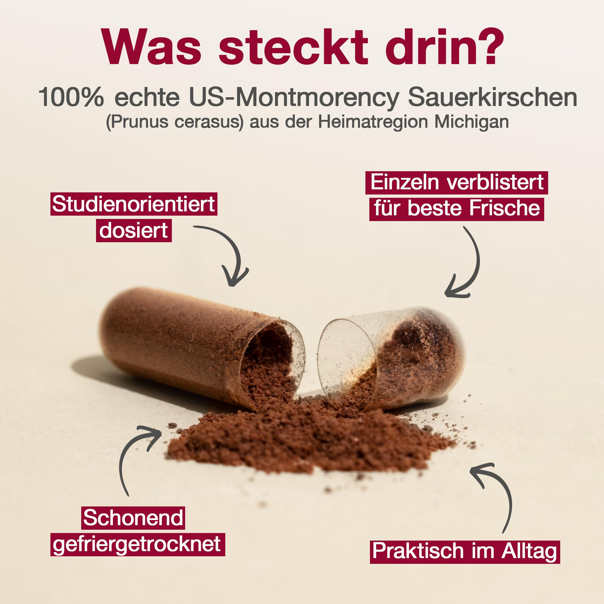Original Montmorency Sauerkirschen Kapseln – 55.000 mg Sauerkirschen pro Tagesdosis (50:1 Sauerkirsch Extrakt) – 80 Kirschen/Tag – vegan, ohne Zusätze, deutsche Herstellung – Cherry PLUS