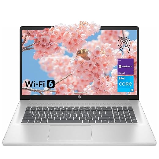 HP 17.3-inch Touchscreen Laptop with i3