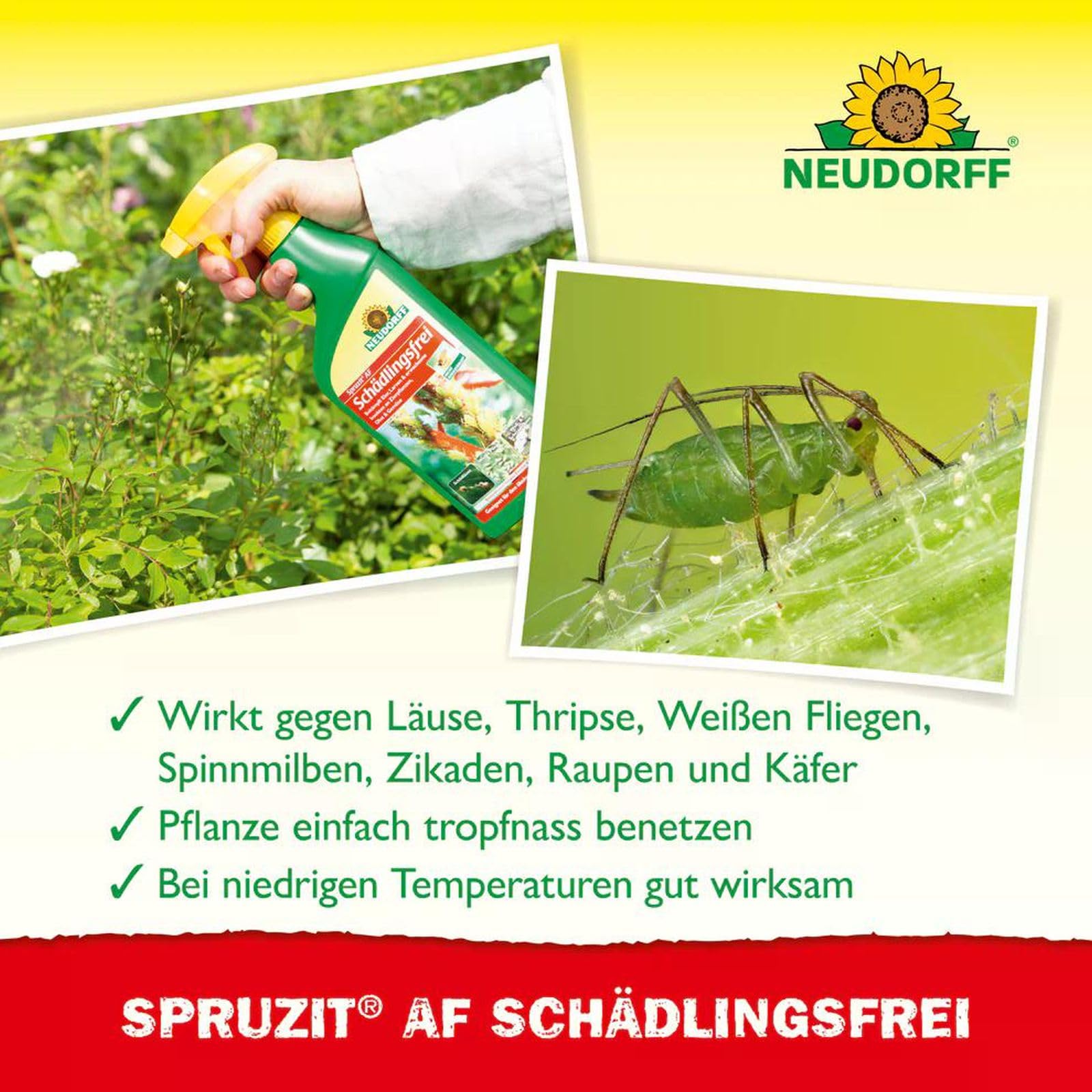 6 X 250ml Spruzit Schädlingsfrei AF