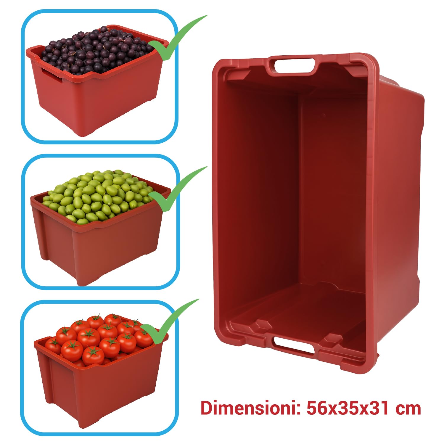 Crisalide Cassette Agricole Impilabili 40 L Plastica Alimentare 56x35x31 cm