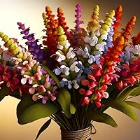 Vista 1 de Mezcla de Salvia de salvia multicolor, más de 30 semillas para cultivar sin OMG