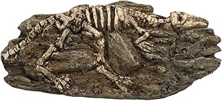 Decoração de aquário tronco de árvore, resina de aquário, resina de aquário, fóssil de dinossauro, decoração de aquário, decoração de fóssil de dinossauro, ornamento de réptil, ornamento de resina, artesanato de animais de aquário para decoração de aquário