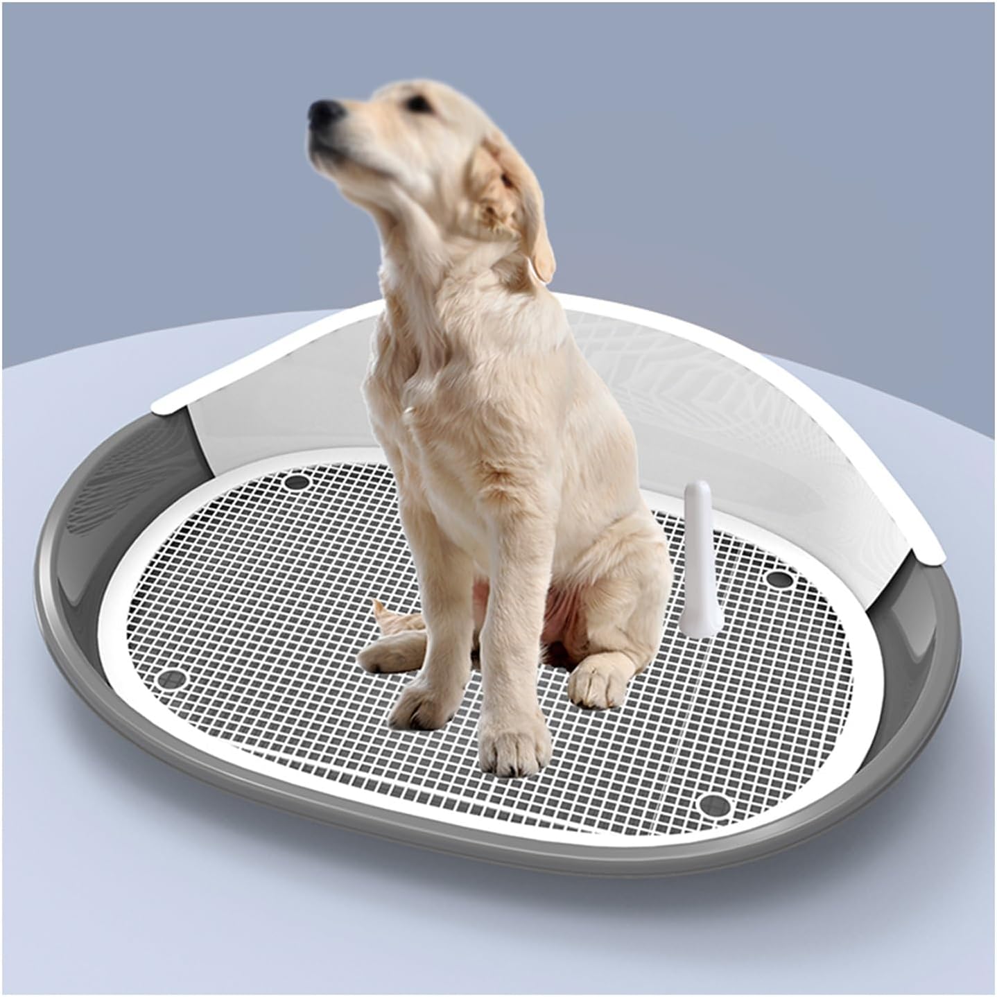 Detachable Pet Dogs Potty Portable Dog Urinal Higher Fence Splash Proof with Urine Guide Post Easy to Clean for Small and Medium Dogs Dog Training Tray (Color : GRIS)