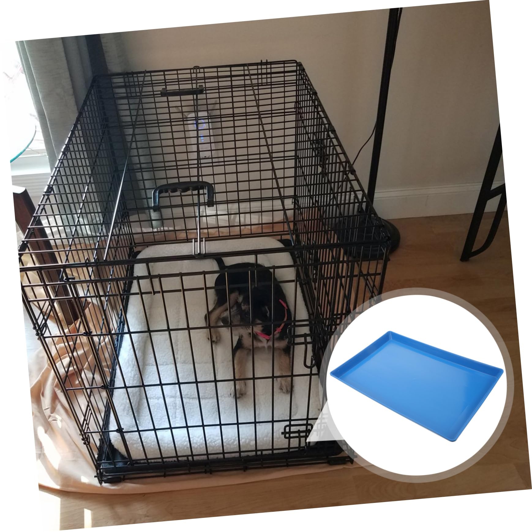 Amazon | 犬用クレートトレイ 犬用ケージ交換用トレイ 動物トレイ