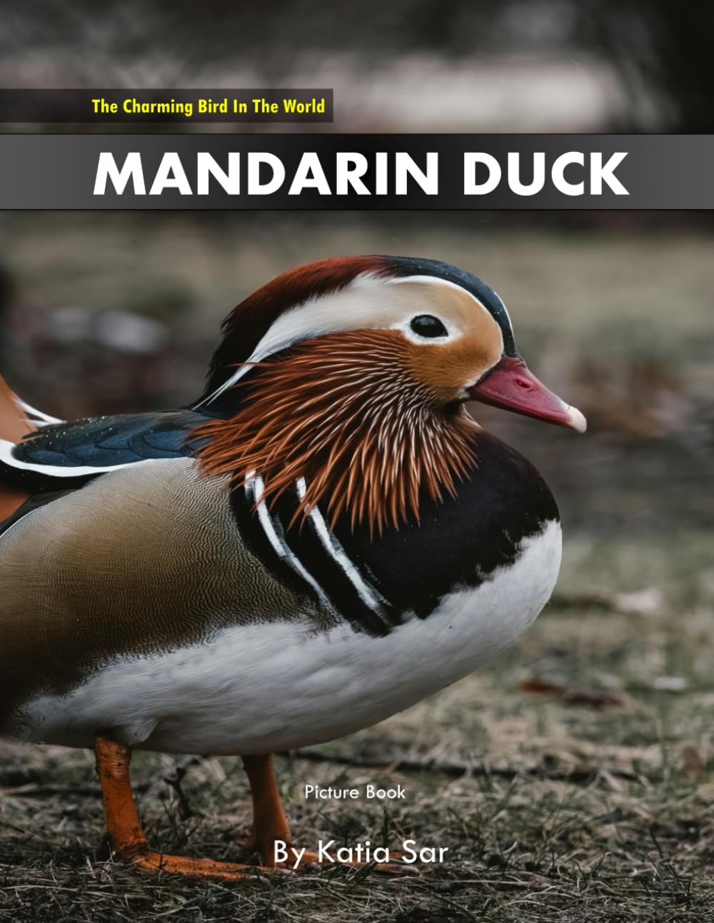 Mandarin Duck: A perfect Coffee Table Picture Book - For Bird Watchers and Nature Enthusiasts .