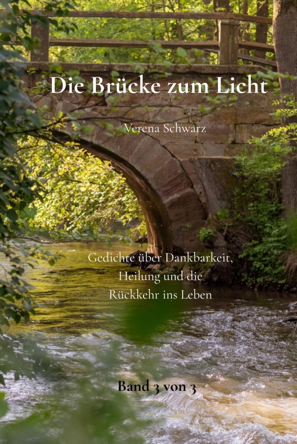 Die Brücke zum Licht: Gedichte über Dankbarkeit, Heilung und die Rückkehr ins Leben