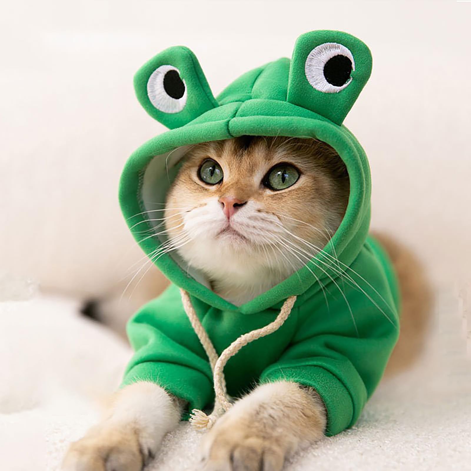 Amazon.com: Cat Hoodies, Cute Lightweight Static Adorable Cat Costume for  Cats for Puppies (#5)