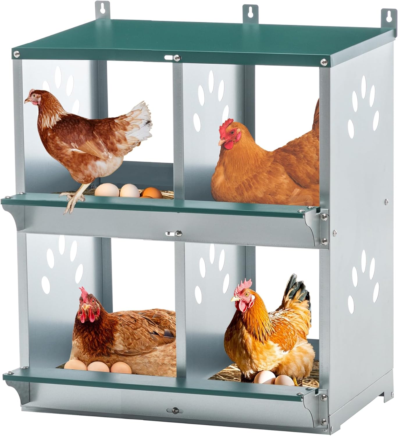 Chicken Nesting Box,Compartment Galvanized Steel Chicken Nesting Box,Wall/Floor Mount Egg Laying Coop with Roll‑Out Floor, Ventilation & Sloped Roof – Easy Clean & Assembly (8 Holes)