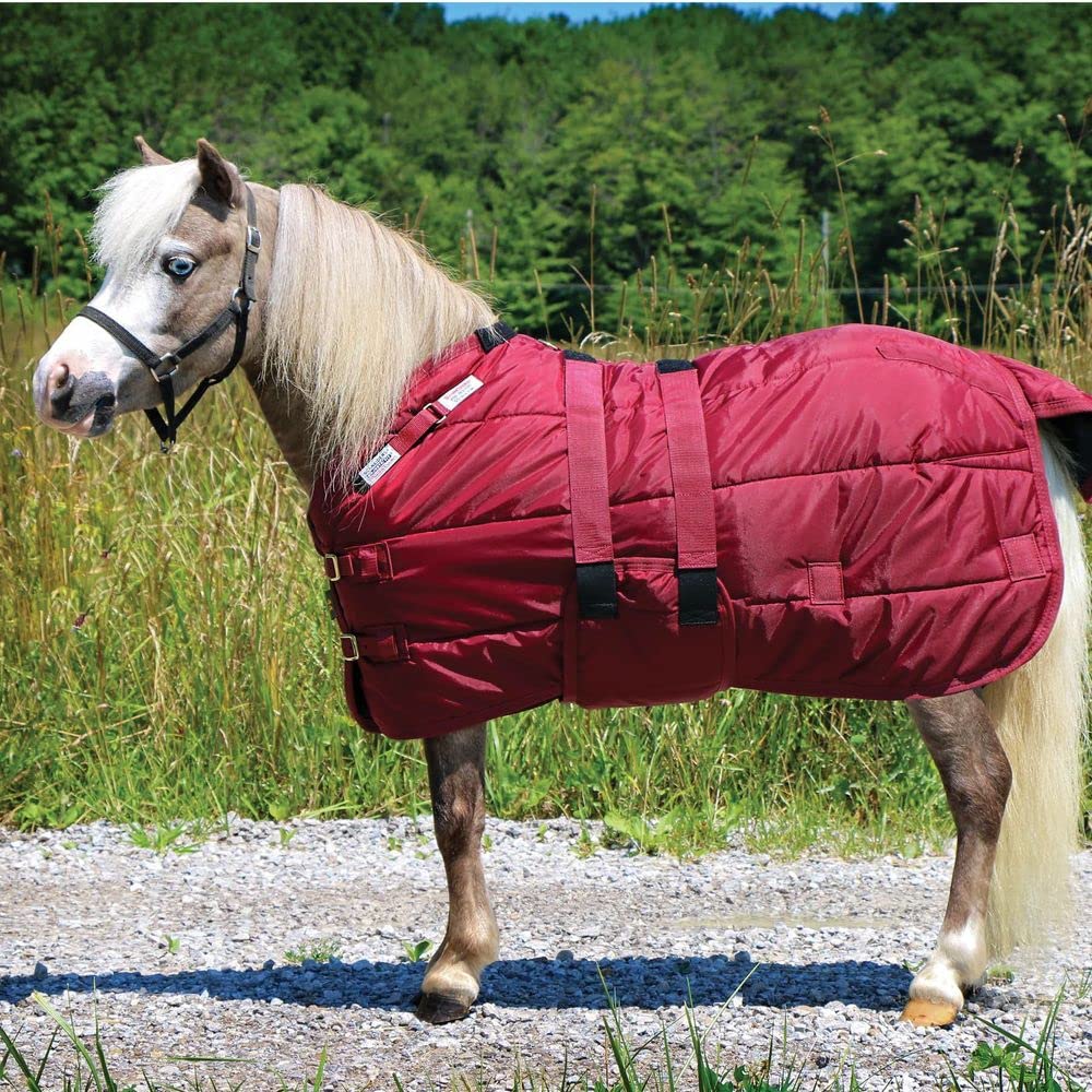 Adjusta Fit Dura-Nylon Open Front Miniature Horse Stable Blanket | Color Purple | Size 38 | Perfect for Miniature Horses | Customizable Fit | Warm & Comfortable | Durable and Easy Maintenance