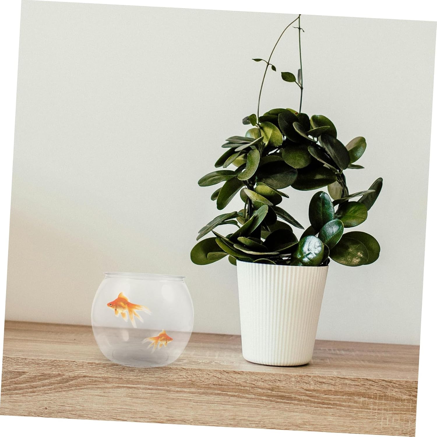 Cabilock Small Portable Plastic Fish Bowl Desktop Aquarium Betta Fish Tank for Office and Home Micro Landscape