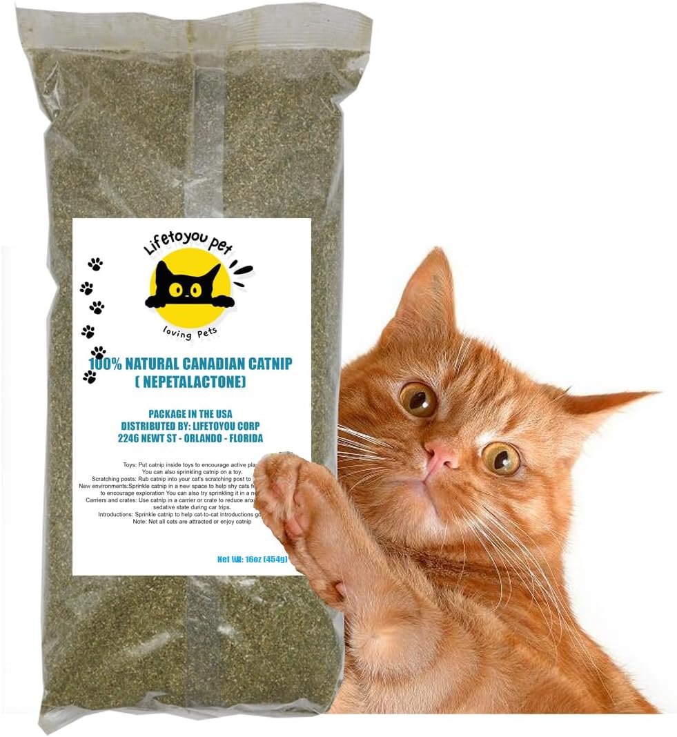 Generic Lifetoyou Canadian Catnip Premium Natural, Premium