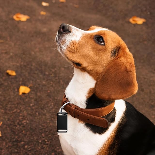 Foto 6 de 7 de Diakey Paquete de 30 etiquetas de perro en blanco para grabado láser