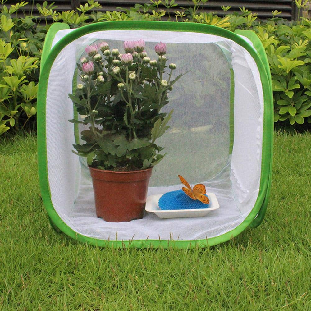Grande Cage d'habitat pour Insectes et Papillons, Cage d'élevage ventilée avec matériau en de Fil de Polyester, Habitat Portable en Chenille, pour cultiver des Insectes (30 x 30 x 30 cm)