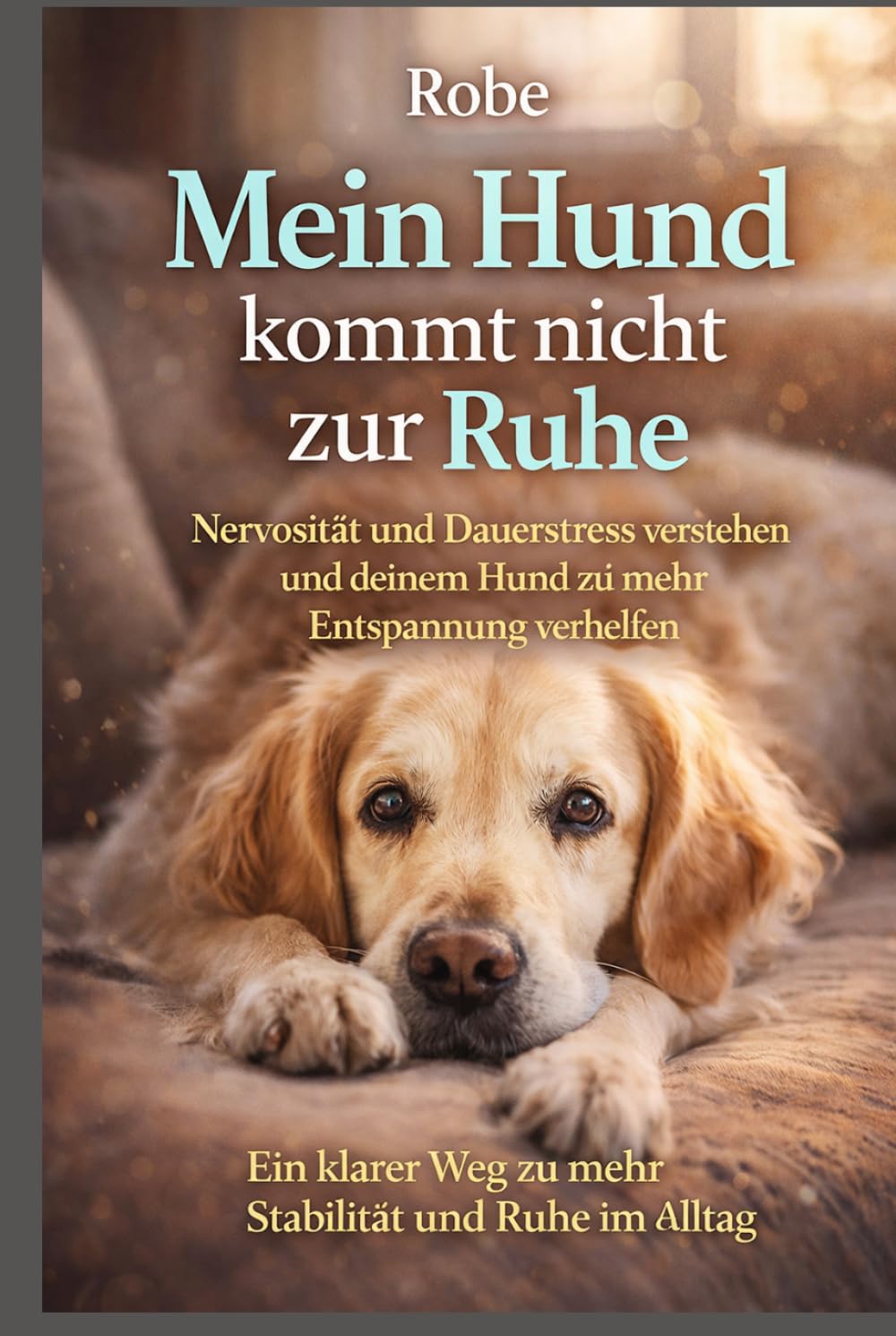 Mein Hund kommt nicht zur Ruhe: Nervosität und Dauerstress verstehen und deinem Hund zu mehr Entspannung verhelfen