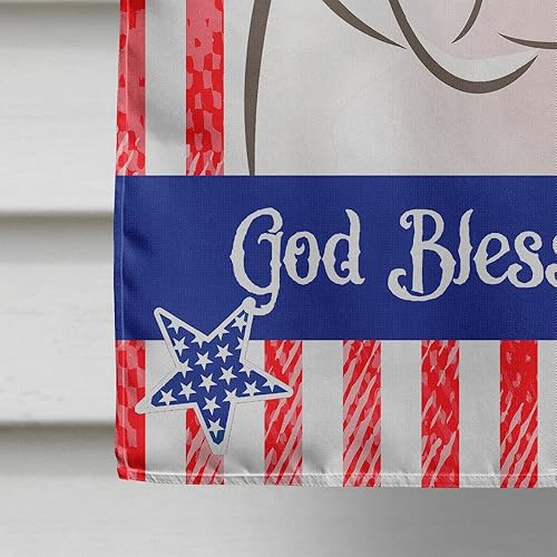 Vista 341 de Caroline's Treasures BB2171GF American Flag and Border Collie Garden Flag Mailbox Flag Decorative Yard Flag Banner Outside Patio Artwork Yard Flower
