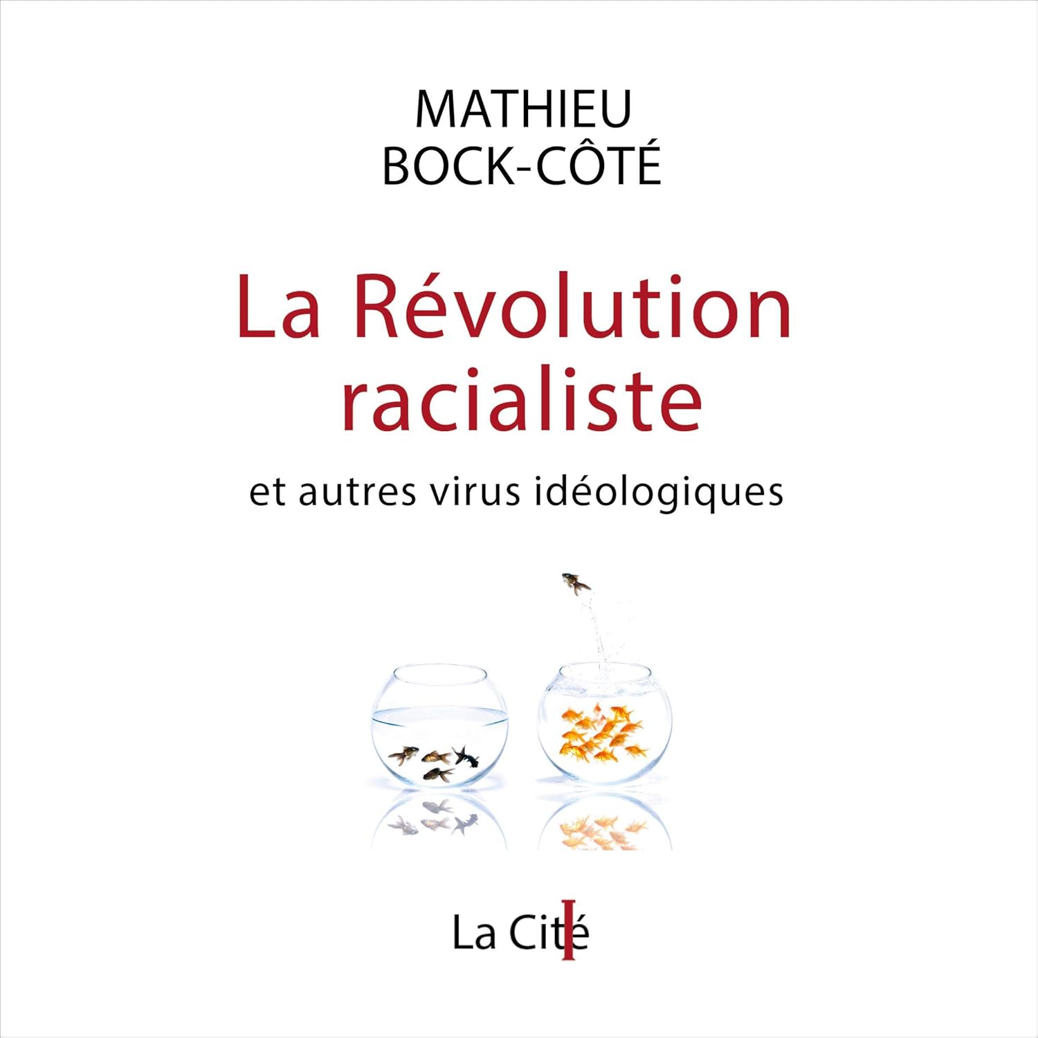 Mathieu Bock-C&ocirc;t&eacute; La R&eacute;volution racialiste