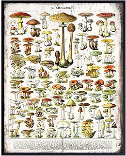 Dining Room, Kitchen Decor - Rustic Vintage Botanical Mushrooms Chart - Larousse Gastronomique Sign Photo Wall Art for Cafe, Restaurant - Unique Housewarming Gift -8x10 Boho Farmhouse Style