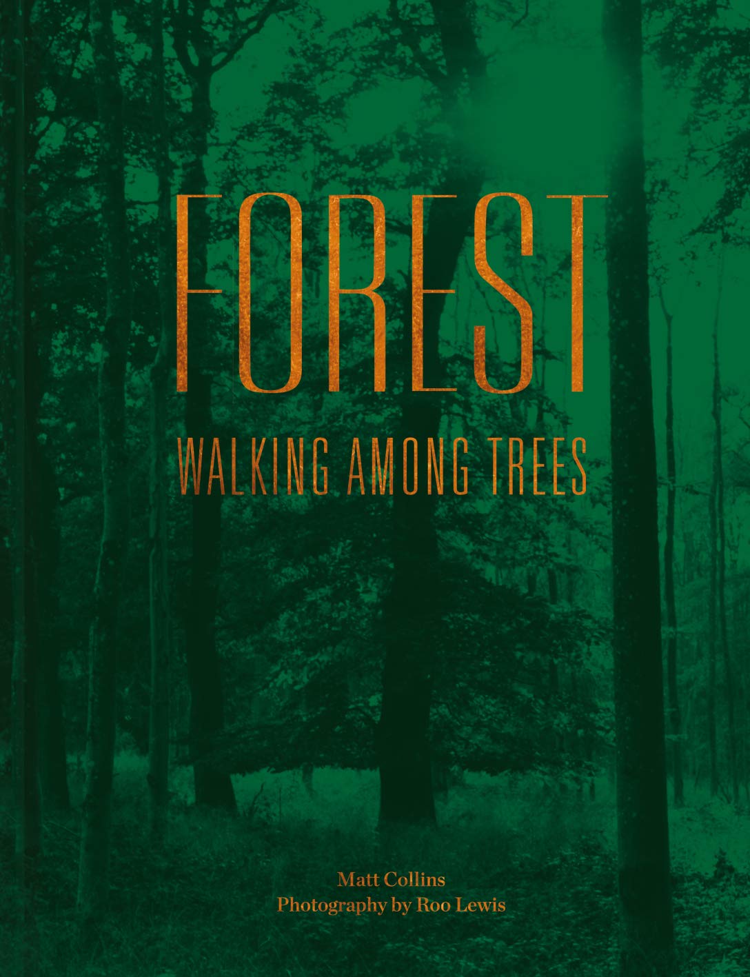 Forest: A captivating celebration of trees and forests worldwide, with stunning nature photography
