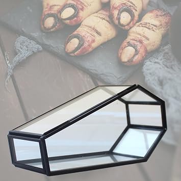 Multifunctional Display Box Eye Catching Glass Coffin Shaped Display Case for Halloween Party Decorations