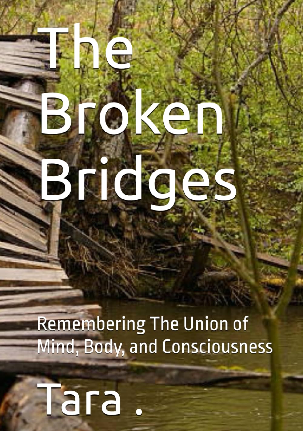 The Broken Bridges: Remembering The Union of Mind, Body, and Consciousness