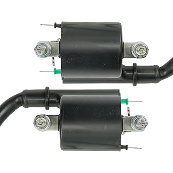 Amazon.com: Caltric Front and Rear Ignition Coil Compatible