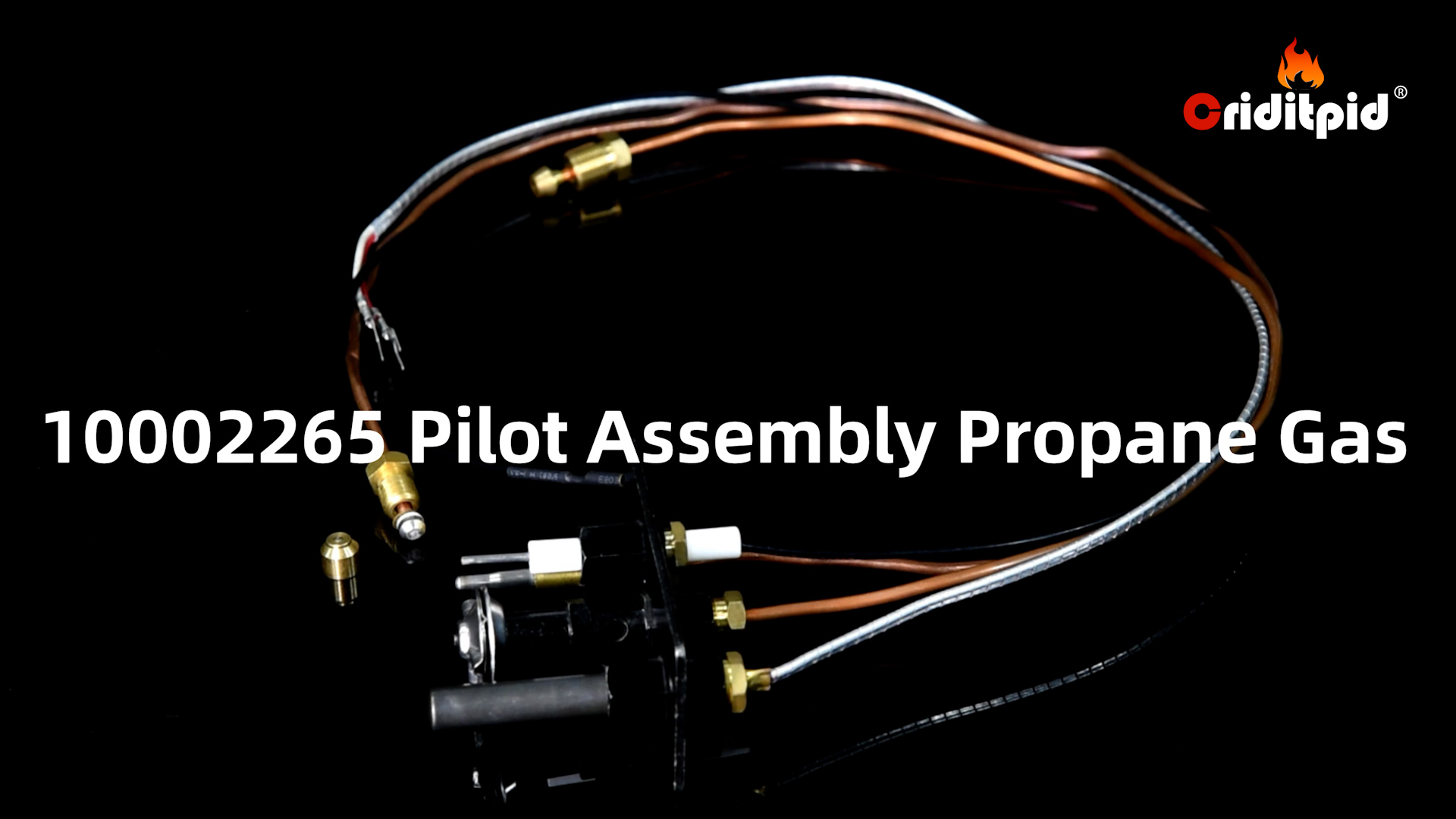 Amazon.com: Criditpid 10002265 Propane Gas (LP) Pilot Assembly