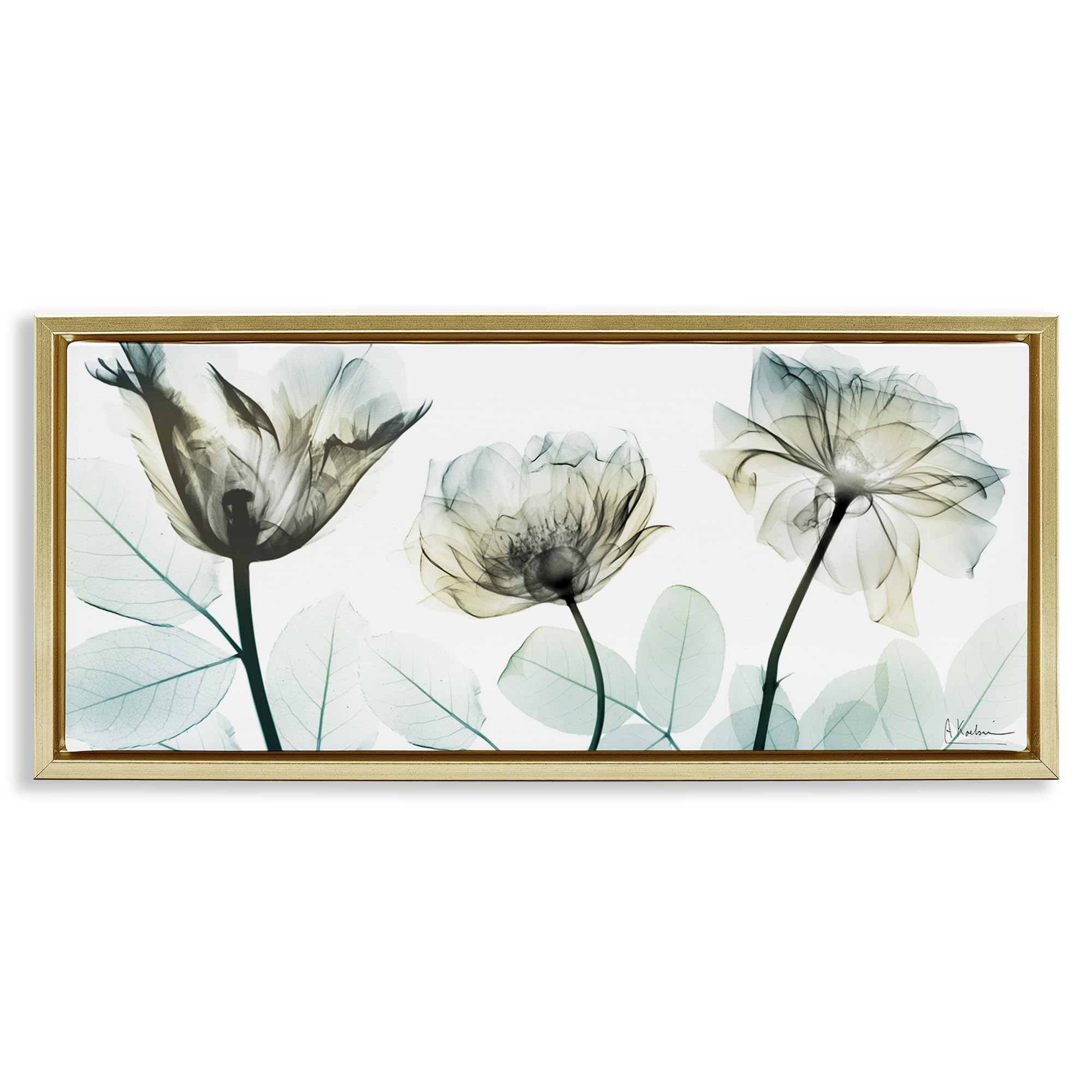 Stupell Industries 'Jewel of Passion Flowers', Floating Frame Canvas Art, Gold, 25 x 11 Inches, Easy to Hang and Sturdy, Made in USA, by Albert Koetsier