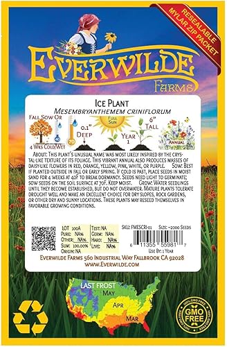 Miniatura 2 de Everwilde Farms - 2000 semillas de flores silvestres Livingston Daisy Ice Plant - Paquete de semillas jumbo Gold Vault