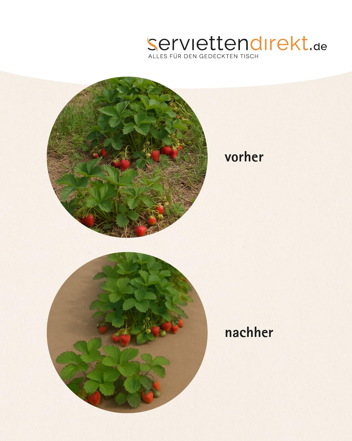 Gartenvlies Unkrautvlies Mulchvlies auf Rolle, 1 m x 25 m aus PP Vlies 130g/m² in braun, Gartenfolie atmungsaktiv & wasserdurchlässig UV-stabil