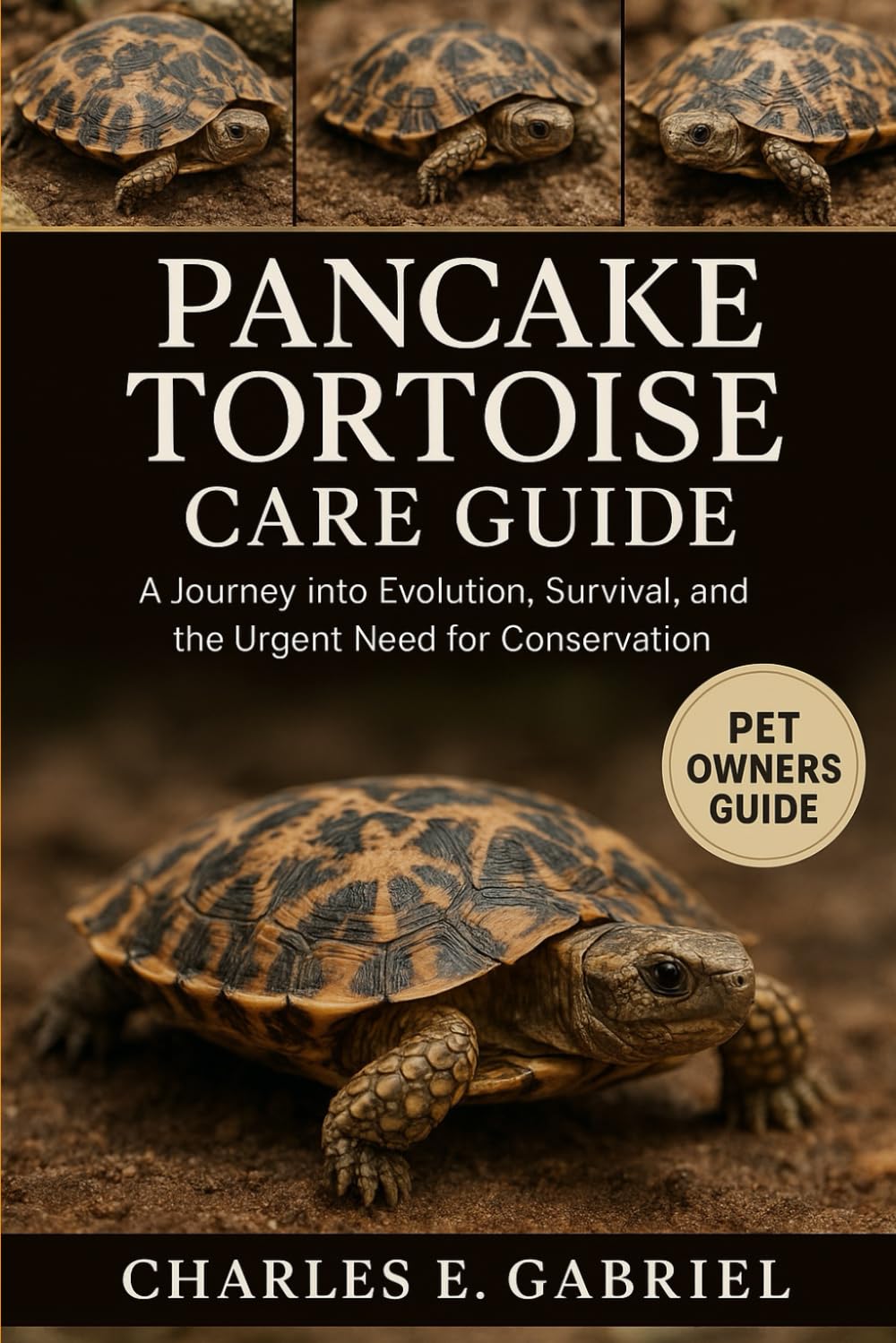 PANCAKE TORTOISE CARE GUID: A Journey into Evolution, Survival, and the Urgent Need for Conservation
