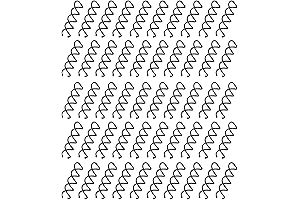 50Pcs Spiral Hair Pins: The Perfect Solution for Effortless Hair Styling