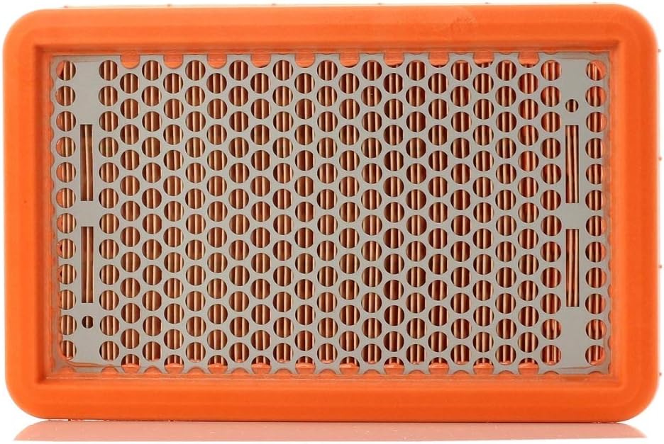 MANN-FILTER C 2666 Air Filter – For Passenger Cars