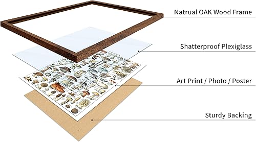 Miniatura 392 de Poster Master Póster vintage de orquídea, estampado de flores retro, arte de pared de plantas exóticas, arte botánico, regalo para hombres y