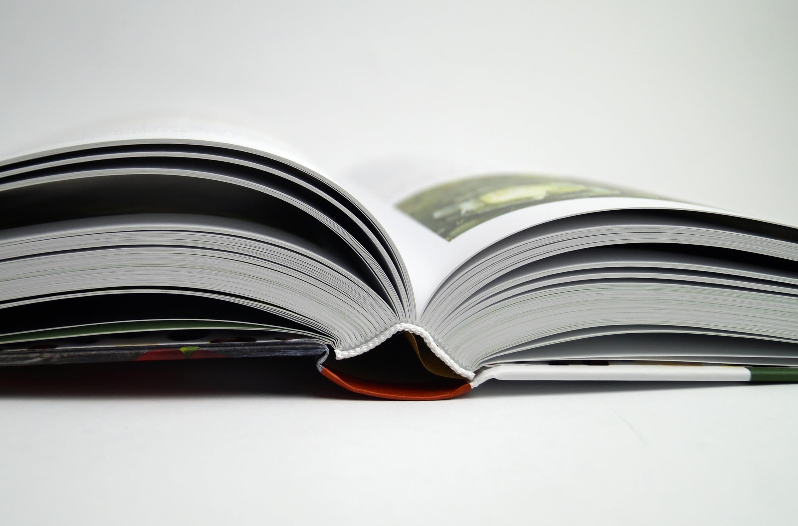 Handbuch Samengärtnerei: Sorten erhalten. Vielfalt vermehren. Gemüse genießen. Pflanzensamen selber ernten, Saatgut vermehren, heimische Nutzpflanzen fördern und alte Sorten bewahren.