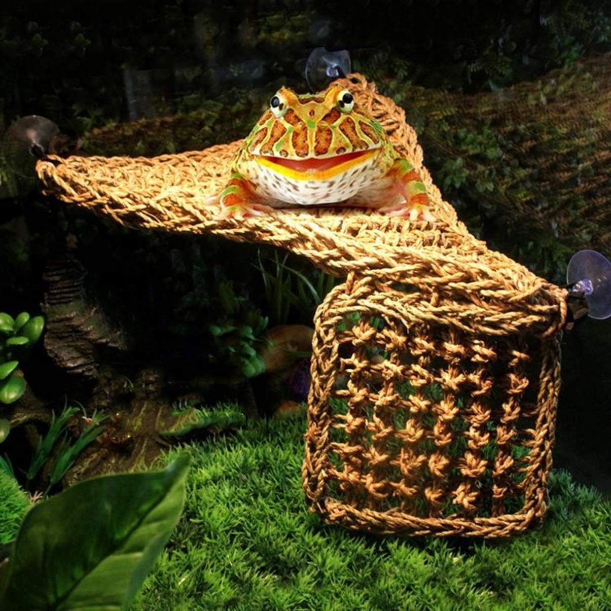 ORFOFE Strong Texture Reptile Hammock Bed Suction Cup Mount for Dragon Lizards Gecko Feeding Ledge Hide
