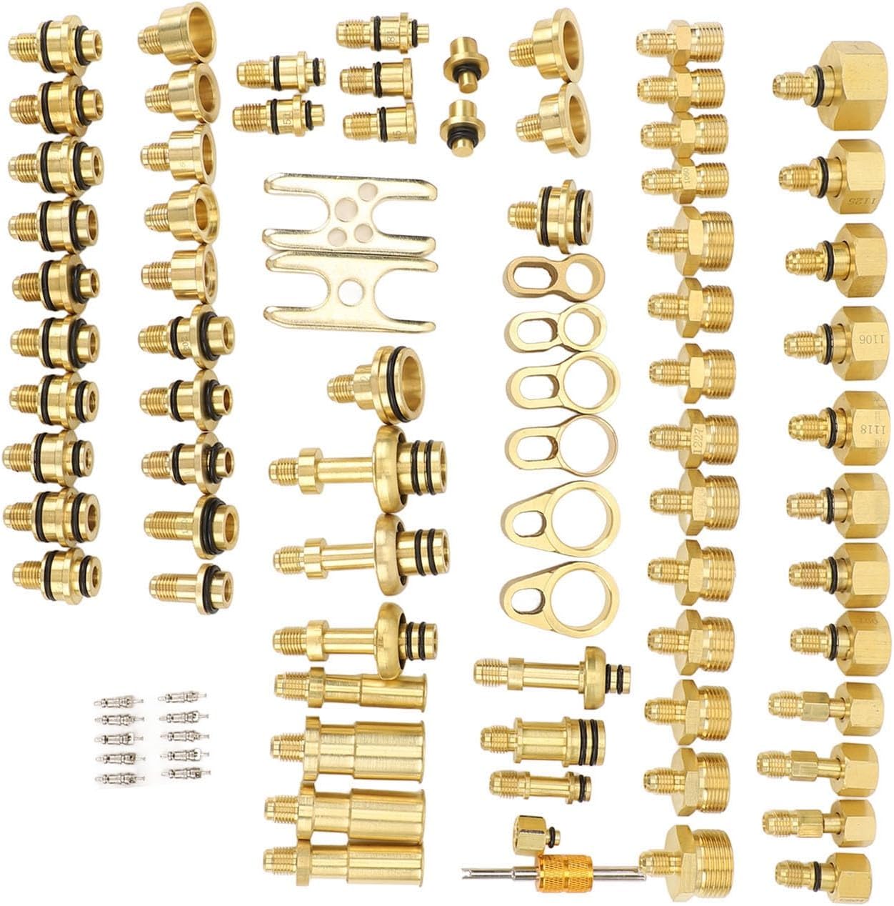 RiToEasysports Automotive Air Conditioning Leak Test Kit, Complete Brass Detection Tools Car AC Leak Detector 77pcs for Professional Mechanics DIY Enthusiasts Auto Repair Shops