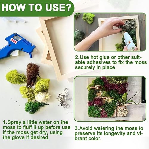 Miniatura 5 de TCYPUHL Musgo de reno verde oscuro de 3.5 onzas, musgo preservado para plantas, decoración de musgo, musgo verde para manualidades, musgo para